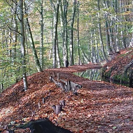 De Sprokkel Milsbeek