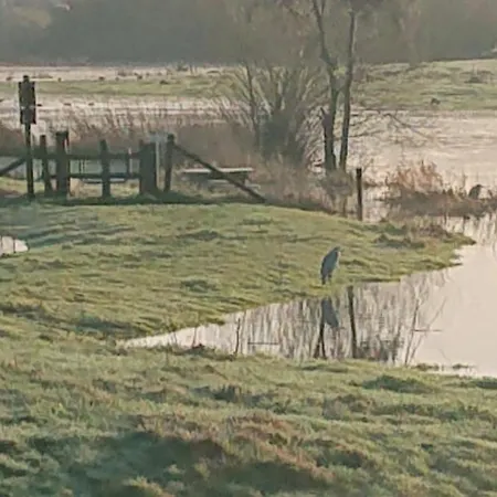 De Sprokkel Bed & Breakfast Milsbeek