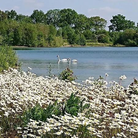 De Sprokkel Bed & Breakfast Milsbeek