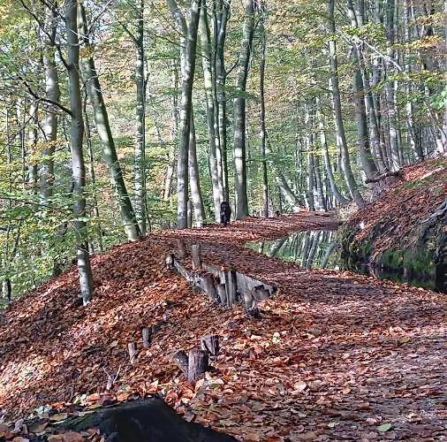 De Sprokkel Milsbeek