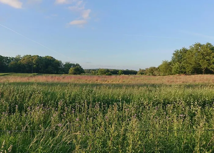 De Sprokkel Bed & Breakfast