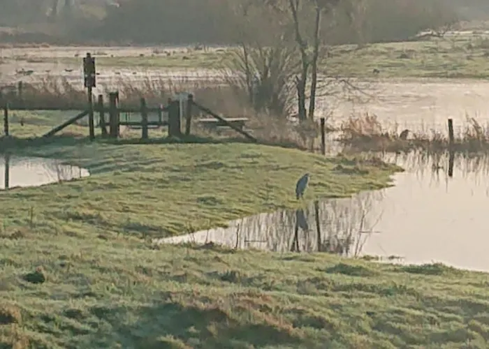 De Sprokkel Bed and breakfast Milsbeek