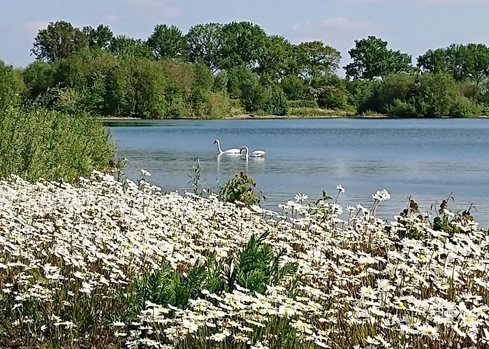 De Sprokkel Bed and breakfast Milsbeek